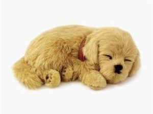 Gifts and Gadgets Online Perfect Petzzz Golden Retriever Plush Breathable Dog