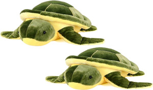 Alexus Two Turtle - 32 cm