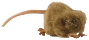 Hansa Brown Mouse 472