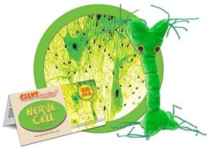 Giant Microbes Nerve Cell Plush