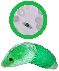 Giant Microbes malaria (plasmodium falciparum) educational plush