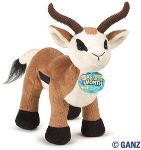 Webkinz Springbok February Pet Of The Month