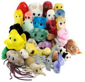 Plush herpes new arrivals