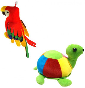 MGPLifestyle Musical Cute Parrot and Tortoise Combo - 9 cm