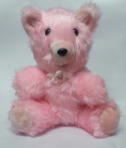 Sae Fashions Teddy - 12 inch