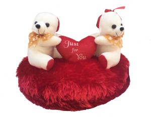 aparnas gift cute teddy for loved ones  - 22 cm