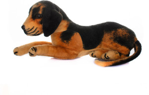 Arihant Online Soft_0024 - 17 cm