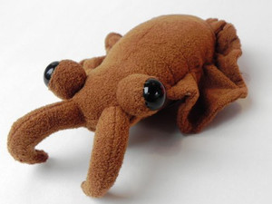 TSTADVANCE Anomalocaris Brown