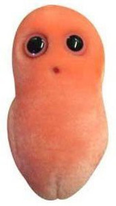 Giant Microbes Pimple (Propionibacterium Acnes) Plush