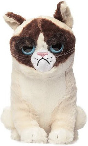 Grumpy hot sale cat teddy