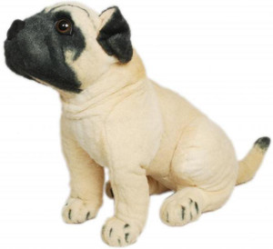 Cuddles Pug Dog - 8