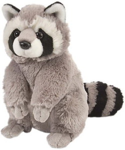 Wild Republic Ck Raccoon 12