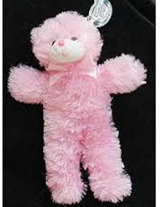 Cuddly 2025 cousins bear