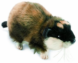 Hansa Lemming 7