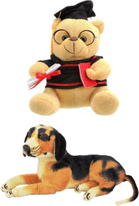 VRV Soft Musical Scholar Teddy Bear and Dog 32cm - 20 cm