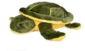 Aayushi Toys Cute Stuffed Tortoise Toy for Kids - 29 cm