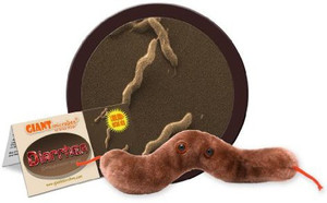 Giant Microbes Diarrhea (Campylobacter Jejuni) Plush