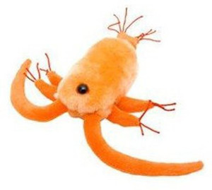 Giant Microbes Copepod (Centropages Hamatus) Plush