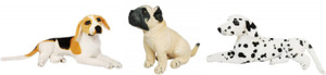 Cuddles Lovely Looking Dolmention, Pug And Sweety Dog Combo - 8 inch