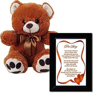 Poetry Gifts Im Sorry Love Poem and Plush Teddy Bear - Sorry Gift for Him or Her in Black Frame with 10 Inch  - 24 inch