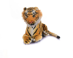 Arihant Online Soft_0058 - 19 cm