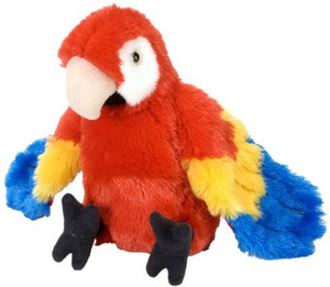 WILD REPUBLIC Scarlet Macaw 8 Ck Mini Childs Plush Cuddly Soft Parrot Scarlet Macaw 8 Ck Mini Childs Plush Cuddly Soft Parrot Buy Macaw toys in India. shop for WILD