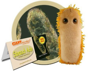 Giant Microbes 5