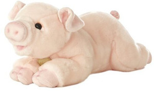 Aurora Miyoni Pig 16