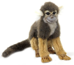 Hansa Squirrel Monkey 8
