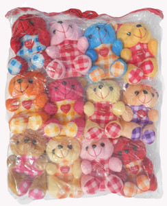D Crazy 12 Pcs Variety Model of Teddy Bear Pack - 48 cm