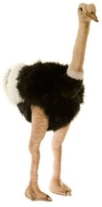 Hansa Male Ostrich 3268