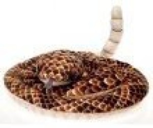 Fiesta Toys Rattlesnake Rattle Snake Coiled Plush Stuffed Animal, 73