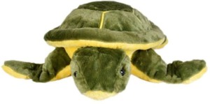 Pari Pari Soft Toys Tortoise 35 Cm  - 5