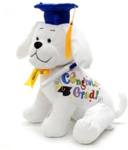Star Gift Graduation Autograph Dog With Penblue Hat Congrats Grad 105