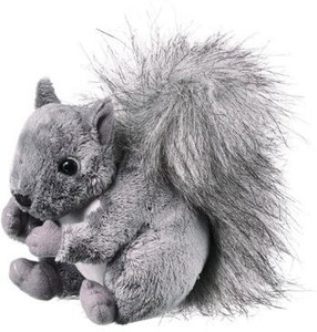 Wild Life Artist Squirrel 6