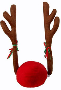 Unique Finds Reindeer Antlers And Red Nose Car Kitfree Christmas Fun