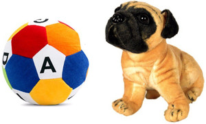 MGPLifestyle Combo of Pug Dog Soft Toy (32cm) & ABCD Ball - 10 cm