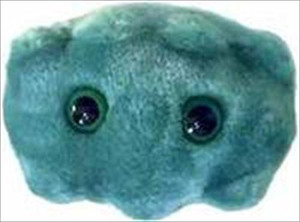Giant Microbes Plush Bad Breath Porphyromonas Gingivalis Microbe
