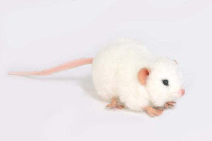 Hansa Mouse Plush Animal 5