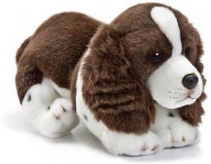 Nat And Jules Plush Toy Springer Spaniel Large 25 inch Plush Toy Springer Spaniel Large Buy English Springer Spaniel toys in India. shop for Nat And Jules products in India. Flipkart