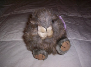 Puffkins Squirrel