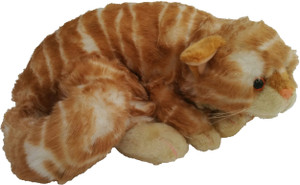 Galaxy World Cat - 14 cm