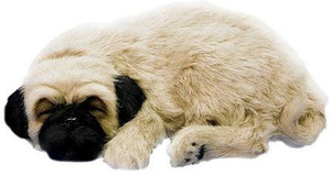 Perfect Petzzz Xp9109 Huggable Pug Puppy