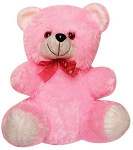 DIZIONARIO TEDDY65P - 11 inch