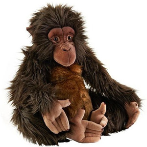 Fao schwarz orangutan store