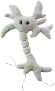 Brain cell 2025 stuffed animal