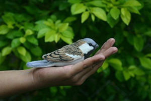 Hansa Blue Tit Bird 4 Inch