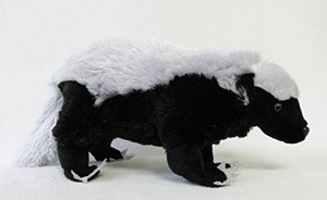 honey badger teddy