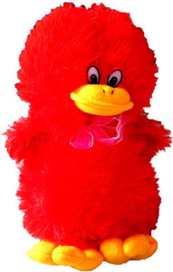 SONIYA ENTERPRISES duck - 29