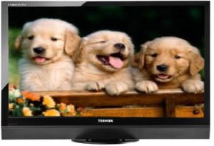 Toshiba (19 inch) HD Ready LED TV(19HV10ZE)